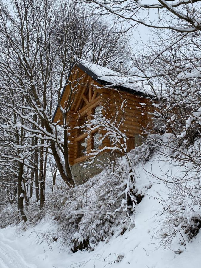 Chalet Pidstromom Mykulytschyn Exterior foto